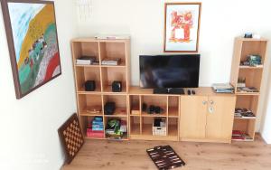 sala de estar con TV y estante de libros en Ferienwohnung Richter, en Kirchhundem