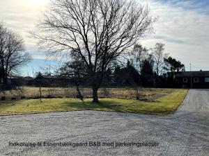 Foto dalla galleria di Essenbaekgaard B&B a Assentoft