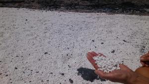 Fotografia z galérie ubytovania Casa Fico de India accogliente in zona strategica v destinácii Corralejo
