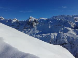 Gallery image of Obere Frutt 9 in Frutt