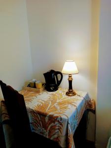 a table with a lamp sitting on top of it at Astoria Patagonia II habitaciones privadas in San Carlos de Bariloche