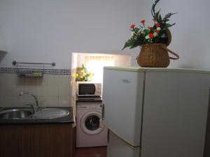 een keuken met een koelkast en een mand met bloemen erop bij Casa da Avó in Redondo +17 foto's
