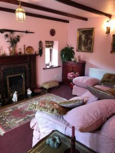 a living room with pink walls and a fireplace at Y Twlc Mochyn - EcoFriendly - Farm Animals in Corwen