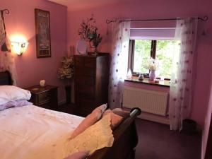 a bedroom with a bed and a window at Cosy Cottage for Ecotourism lovers near Corwen in Corwen