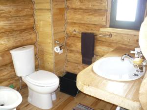 un bagno con un water e un lavandino di Cabana Vultur a Vatra Dornei Altre 33 foto