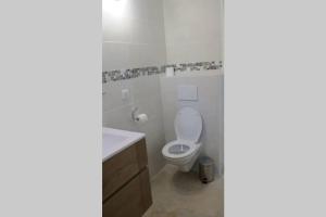 a bathroom with a toilet and a sink at Les châtaigniers du Thaurac in Saint-Bauzille-de-Putois +13 photos