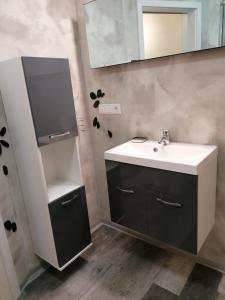 uma casa de banho com um lavatório e um espelho em Großes 1 Zimmer Apartment mit separater Küche, Bad und Balkon em Baden-Baden