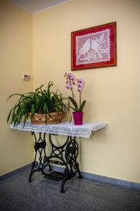 a table with a potted plant on top of it at Apartments Masera in Kobarid