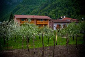 a house in the middle of a field with trees at Apartments Masera in Kobarid