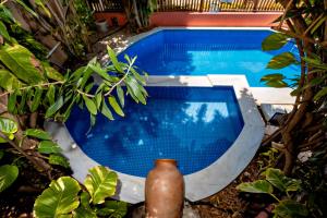 uma piscina com um vaso em frente em Safari Natal Beach Hotel em Natal