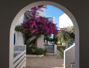an archway with purple flowers on a white building at Astra Hotel Apartments in Kato Daratso