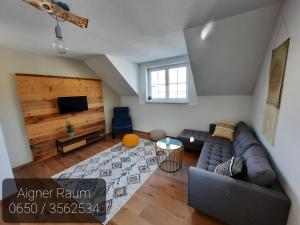 ein Wohnzimmer mit einem Sofa und einem TV in der Unterkunft Apartment Aigner in Bad Goisern