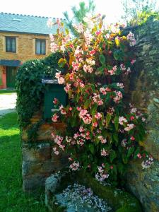 Zahrada ubytování Casa o Furco