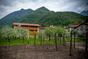 a group of trees in front of a house at Apartments Masera in Kobarid