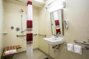 
a bathroom with a shower, sink, and mirror at Red Roof Inn PLUS+ Chicago - Northbrook/Deerfield in Deerfield
