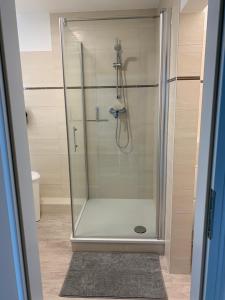 una ducha con puerta de cristal en un baño en Atelier Altstadt Stralsund, en Stralsund