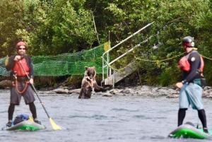 two men and a dog on a river with a paddle at Gwin's Lodge & Roadhouse in Cooper Landing