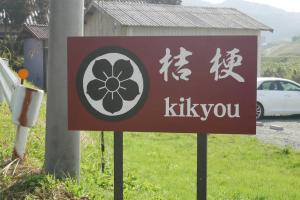 度假屋周边自然景观