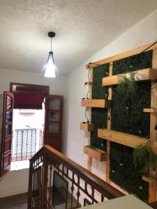 Fotografija u galeriji objekta Hotel Orquídea u gradu Zakatlan