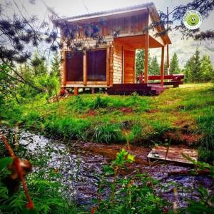 a wooden cabin on a hill with a creek and a house at Eco-turbaza Green Kolobok in Aktash