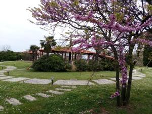 A garden outside Villa Anna