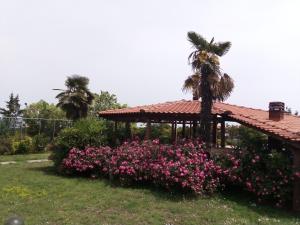A garden outside Villa Anna
