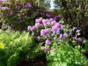 - un bouquet de fleurs violettes dans un jardin dans l'établissement 4 person holiday home in UDDEVALLA, à Mosshed