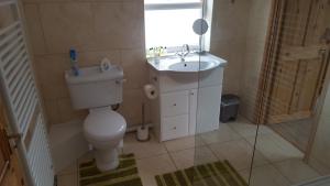 ein Badezimmer mit Toilette und Waschbecken und einem Fenster in der Unterkunft Pendine Sands Guest House in Pendine