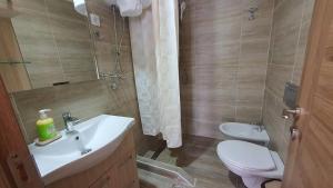 a bathroom with a sink and a toilet and a shower at Apartmani Dunja Zlatar in Nova Varoš