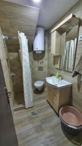 Vannituba majutusasutuses Apartmani Dunja Zlatar