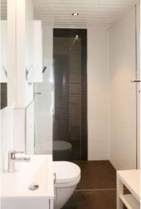 a white bathroom with a toilet and a shower at Gronenberger Mühle Haus 6 in Scharbeutz