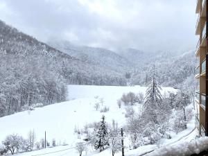 vistas a un campo cubierto de nieve con una montaña en Forest View Oasis, en Brasov