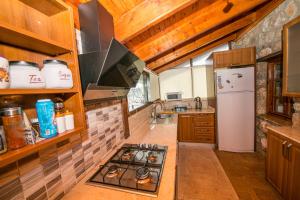 a kitchen with a stove and a refrigerator at Villa Cottage Söğüt Marmaris Daily Weekly Rentals in Mugla