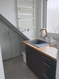 Kuchyň nebo kuchyňský kout v ubytování Apartament Esja + 37 fotografií