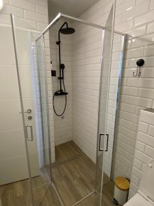 a shower with a glass door in a bathroom at APARTMAN PAVIĆ in Vinkovci