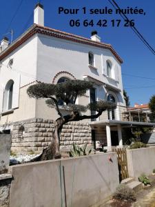 een huis met een boom ervoor bij Chambres d'Hôtes LA PASTOURELLE Royan centre in Royan