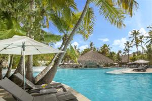 una piscina con sillas, sombrillas y palmeras en Catalonia Punta Cana - All Inclusive, en Punta Cana