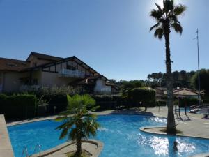 カップブルトンにあるVilla Pour 4 Personnes Avec Piscine En Copropriete- Residence Le Bosquet Aux Ecureuilsのヤシの木が2本立ち並ぶ家の前のスイミングプール