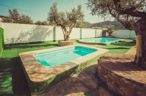 dos piscinas en un patio con un árbol en Posada Peñarubia, en Peñarrubia