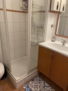 y baño con ducha y lavamanos. en Gemütliches Apartment in attraktiver Lage, en Gotinga