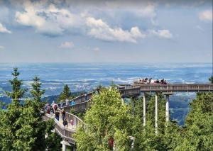 people on a viewing platform at the top of a mountain at Ferienwohnung mit extra Schlafzimmer und Blick in den Bayrischen Wald oberhalb von Sankt Engelmar in Sankt Englmar