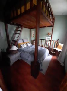 een slaapkamer met een stapelbed en een ladder bij Joli petit loft dans échoppe pierre centre-ville in Bordeaux