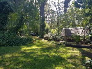 a yard with a house in the middle of a forest at Aldea del bosque in Villa Ventana