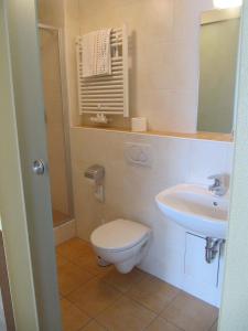 a bathroom with a toilet and a sink at Gasthaus Zum güldenen Rößlein in Homburg