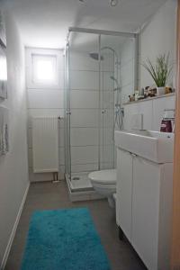 a bathroom with a shower and a toilet and a sink at Ferienwohnung Dorfzeit in Mörlenbach