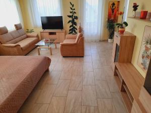 a living room with a couch and a television at Apartmanház King in Hévíz