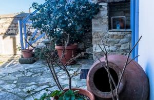 Fotografie z fotogalerie ubytování To Konatzi tou Flokka v destinaci Ayios Theodhoros