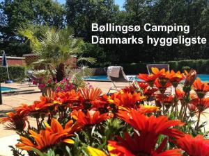 Zahrada ubytování Bøllingsø Camping