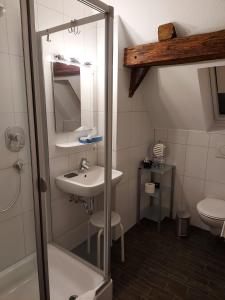 a bathroom with a sink and a toilet at Hotel Ehinger Rose in Ehingen