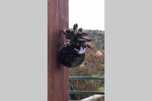 Φωτογραφία από το άλμπουμ του CASA VILLA SAN CARLOS σε Cómbita